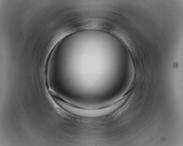 X0000097501434200802221434