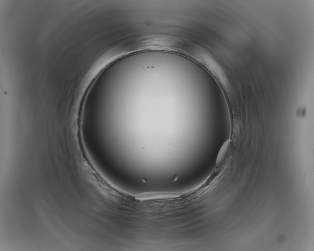 X0000097501435200802221434