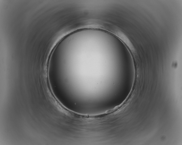 X0000097501436200802221434