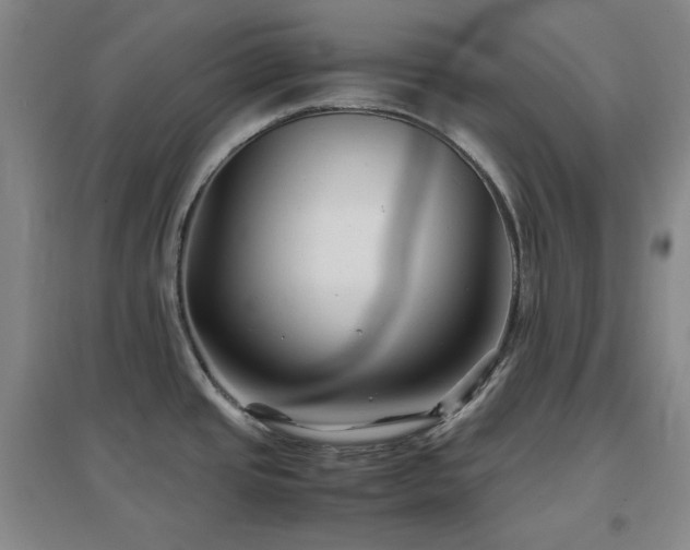 X0000097501437200802221434