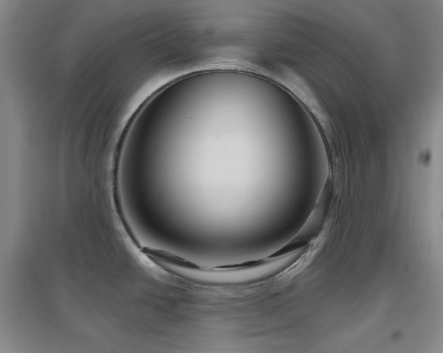 X0000097501438200802221434