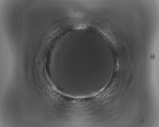 X0000097501441200802221434