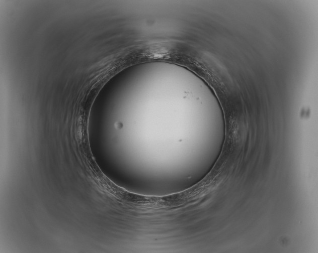 X0000097501442200802221434