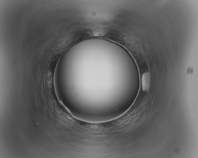 X0000097501443200802221434