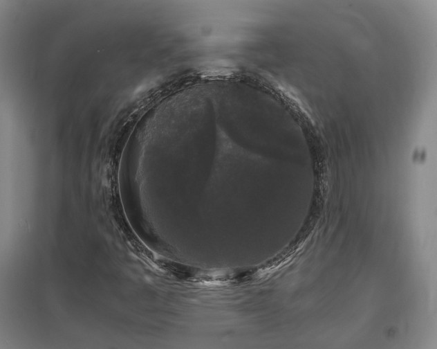 X0000097501445200802221434