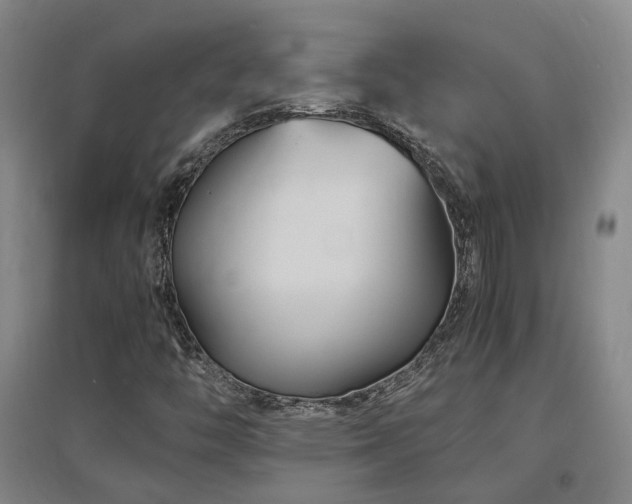 X0000097501446200802221434