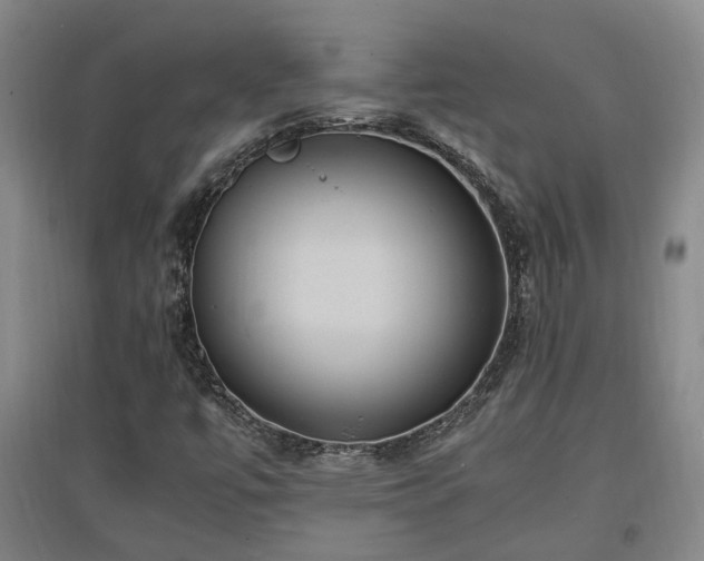 X0000097501447200802221434