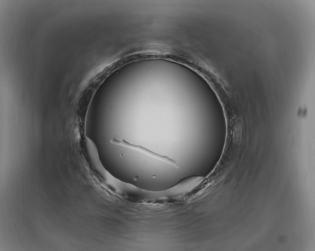 X0000097501448200802221434