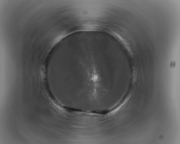 X0000097501449200802221434