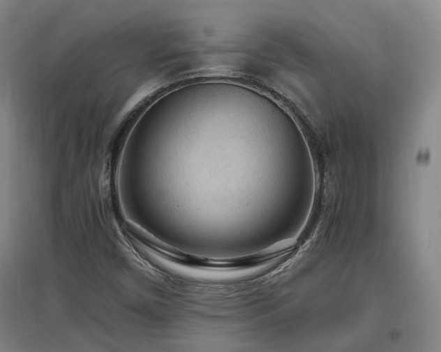 X0000097501450200802221434