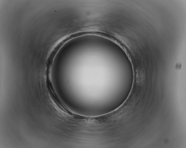 X0000097501452200802221433