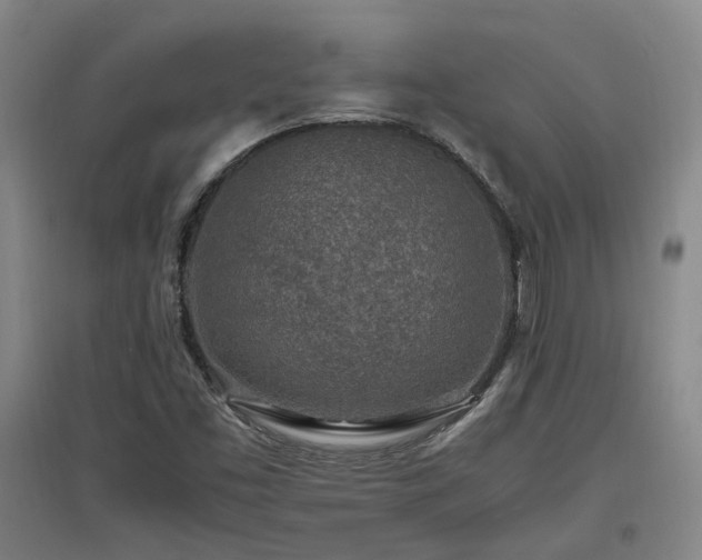 X0000097501453200802221433