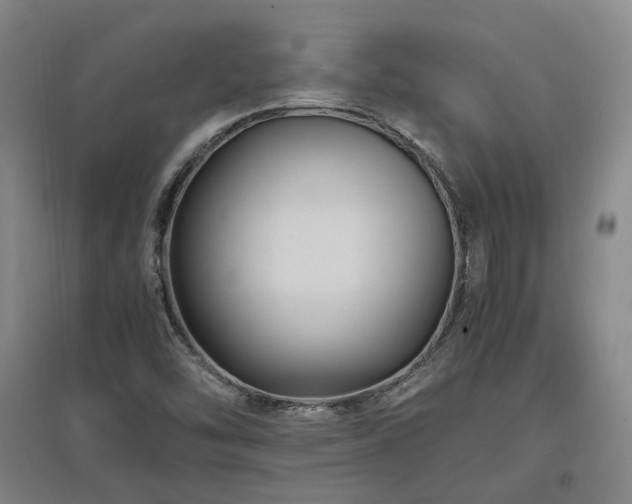 X0000097501454200802221433