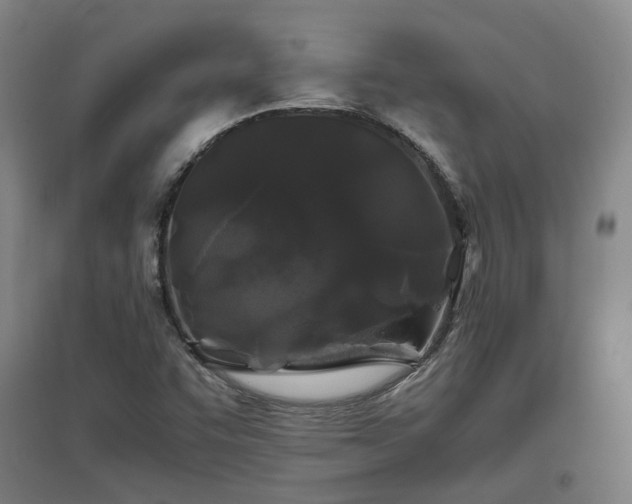 X0000097501455200802221433