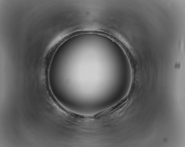 X0000097501456200802221433