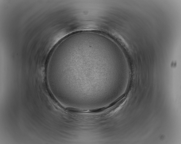 X0000097501457200802221433