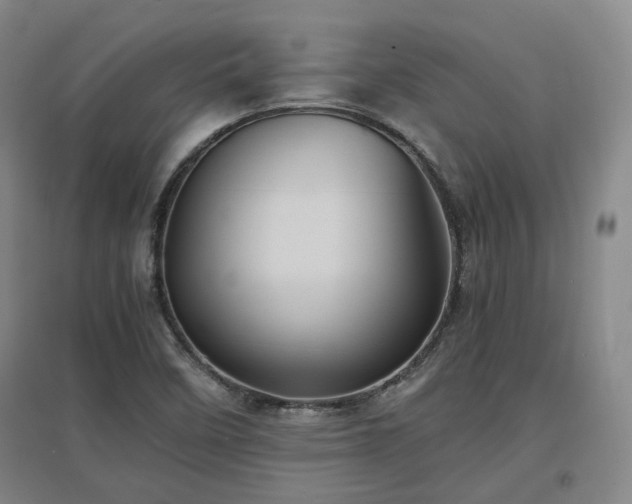 X0000097501458200802221433