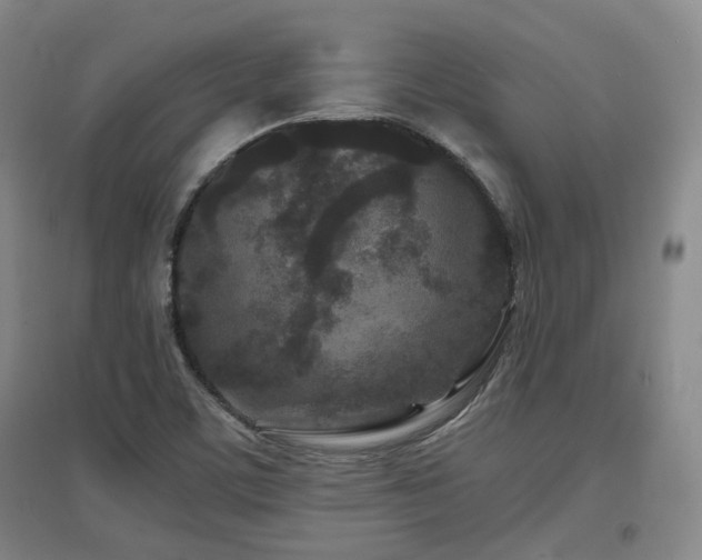 X0000097501459200802221433