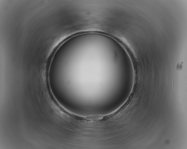 X0000097501460200802221433