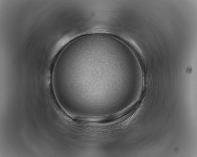 X0000097501461200802221433