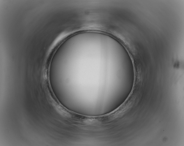 X0000097501462200802221433