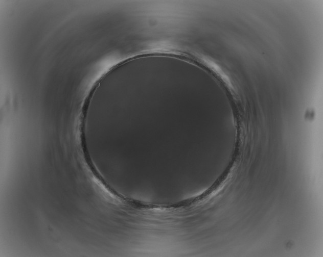 X0000097501463200802221433