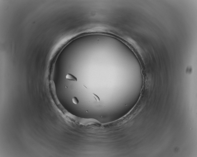 X0000097501464200802221433