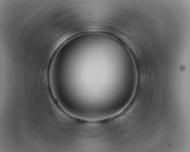 X0000097501465200802221433