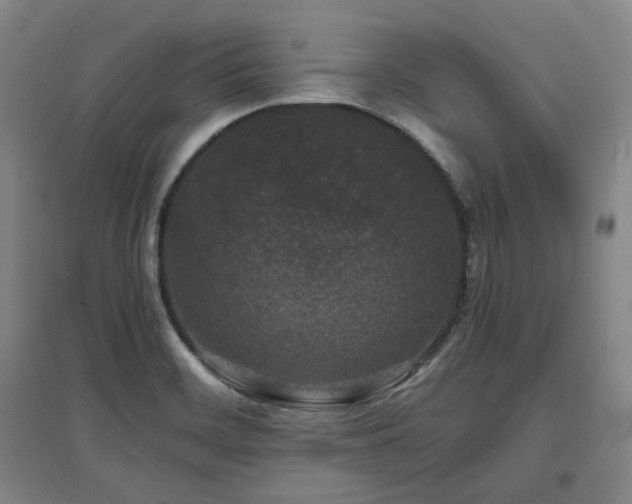 X0000097501468200802221433