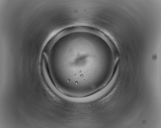 X0000097501469200802221433