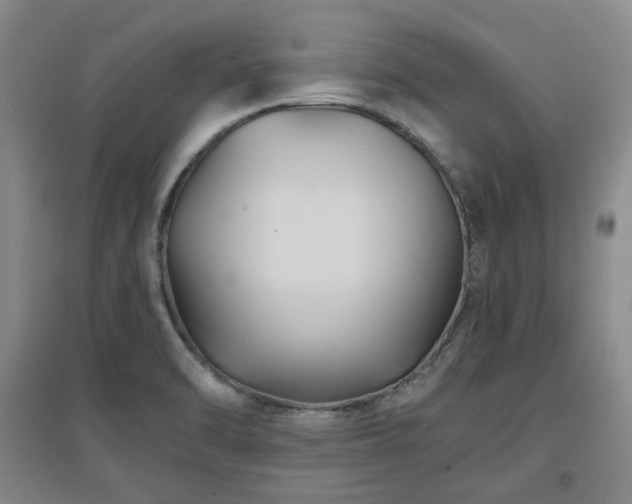 X0000097501470200802221433