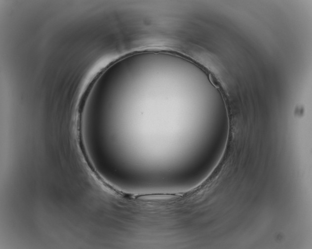 X0000097501472200802221433