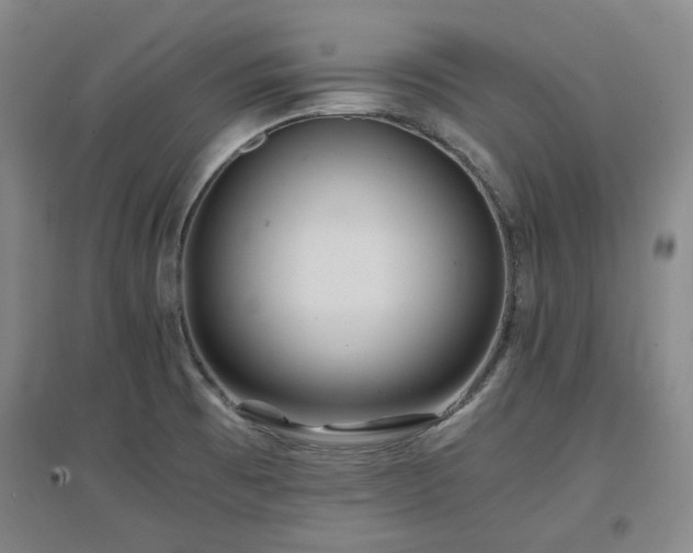 X0000097501473200802221433