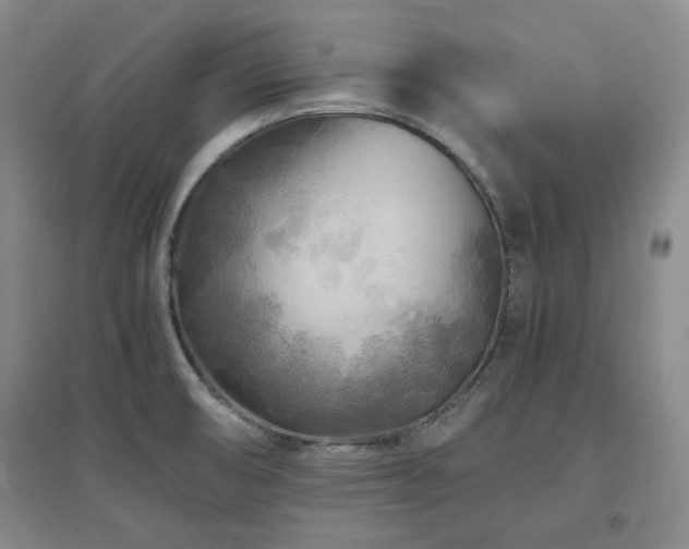 X0000097501474200802221433