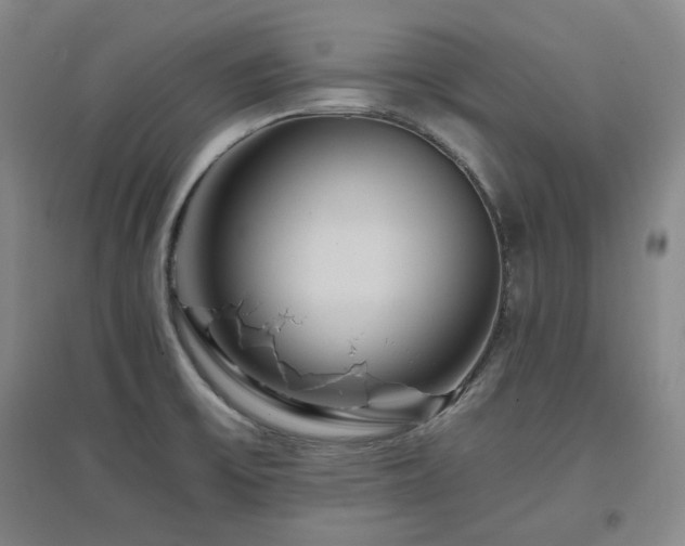 X0000097501475200802221433