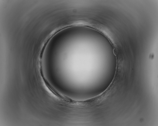 X0000097501476200802221433