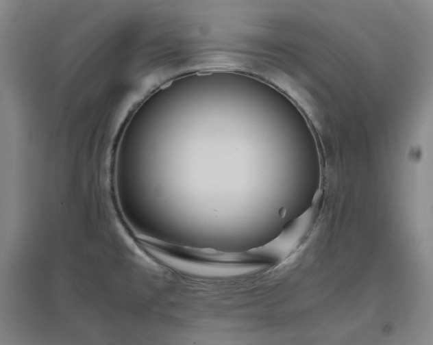 X0000097501477200802221433