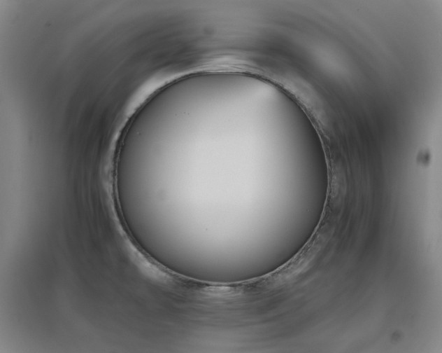X0000097501478200802221433