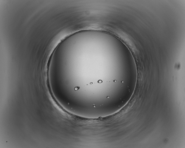 X0000097501479200802221433