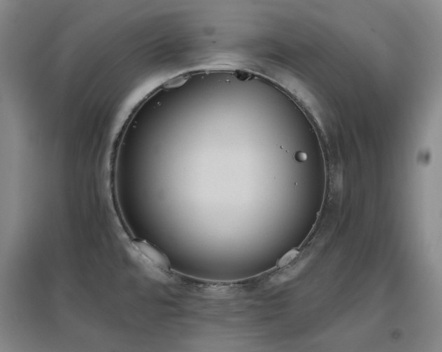 X0000097501480200802221433