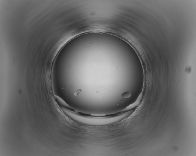 X0000097501481200802221433