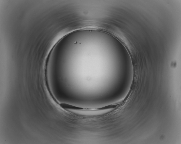 X0000097501483200802221433