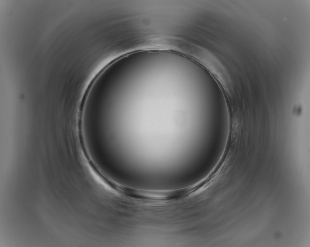 X0000097501484200802221433