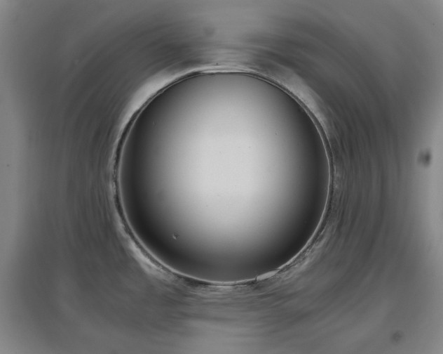 X0000097501485200802221433