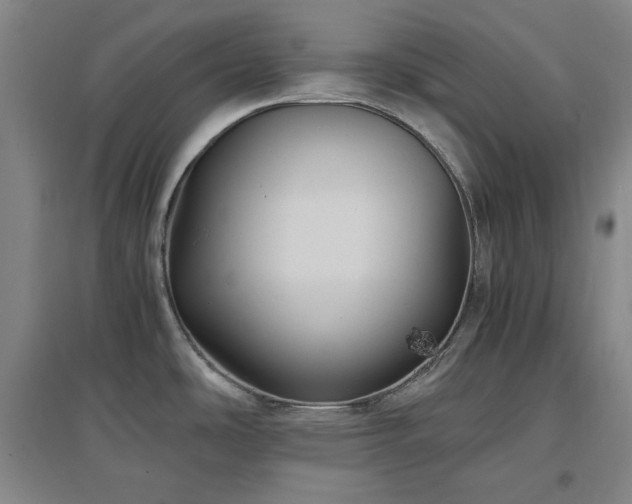 X0000097501486200802221433