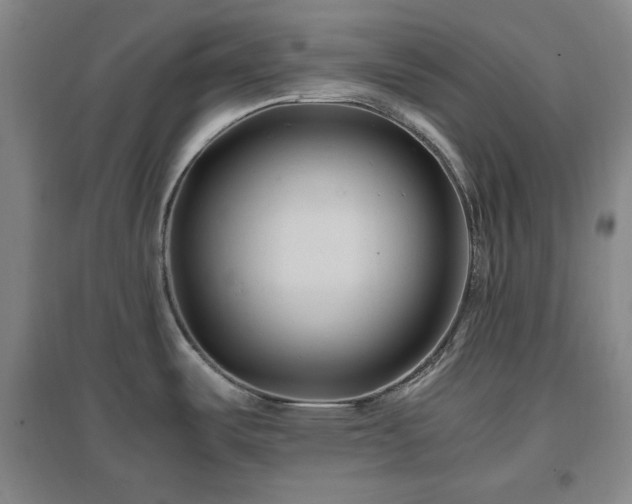 X0000097501487200802221433