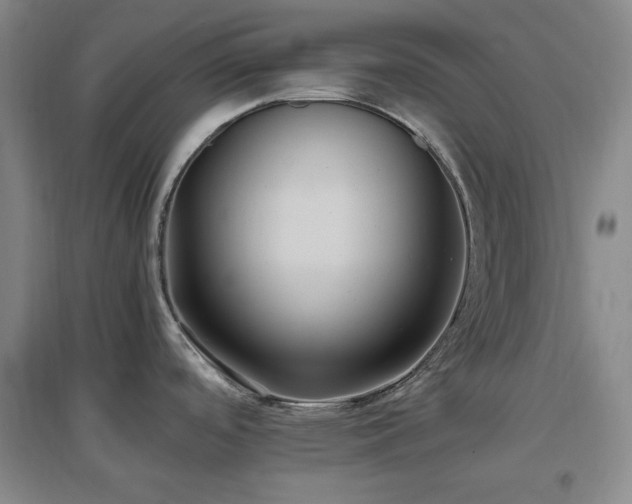 X0000097501488200802221433