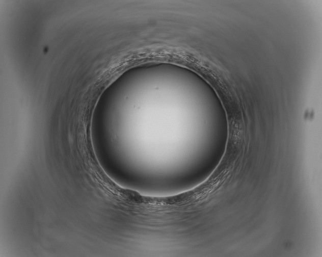 X0000097501489200802221432
