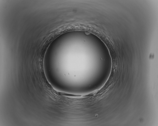 X0000097501490200802221432