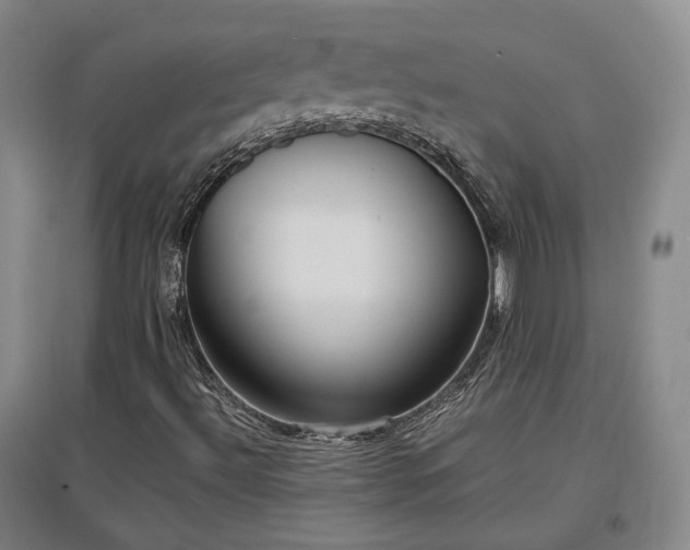 X0000097501492200802221432